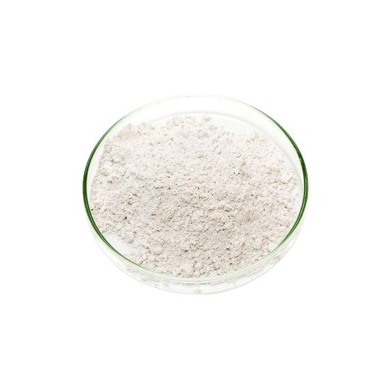 L 아스파틱 산 (L 아스파틱 산)