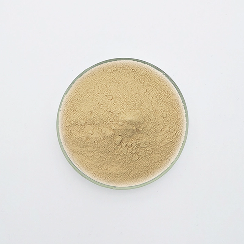 WN-701 석고 지연기(WN-701)