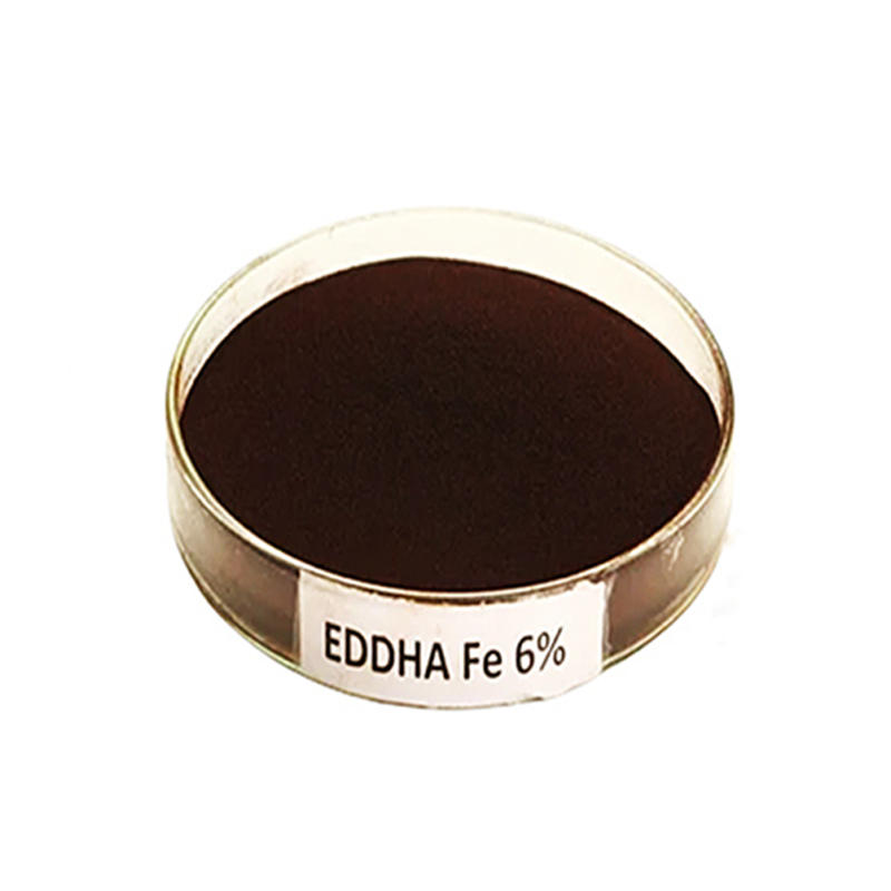 EDDHA 다리미 (6%)